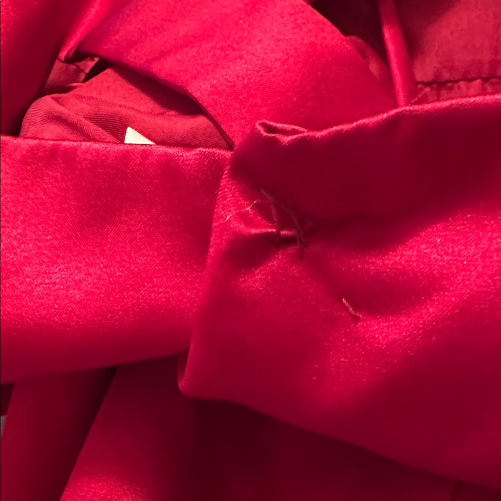 David's Bridal Strapless Scarlet Gown - Picture 15 of 16